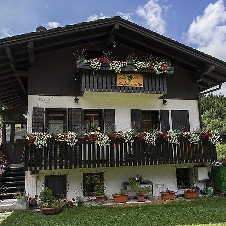B&B La Genzianella Perarolo di Cadore Exteriör bild