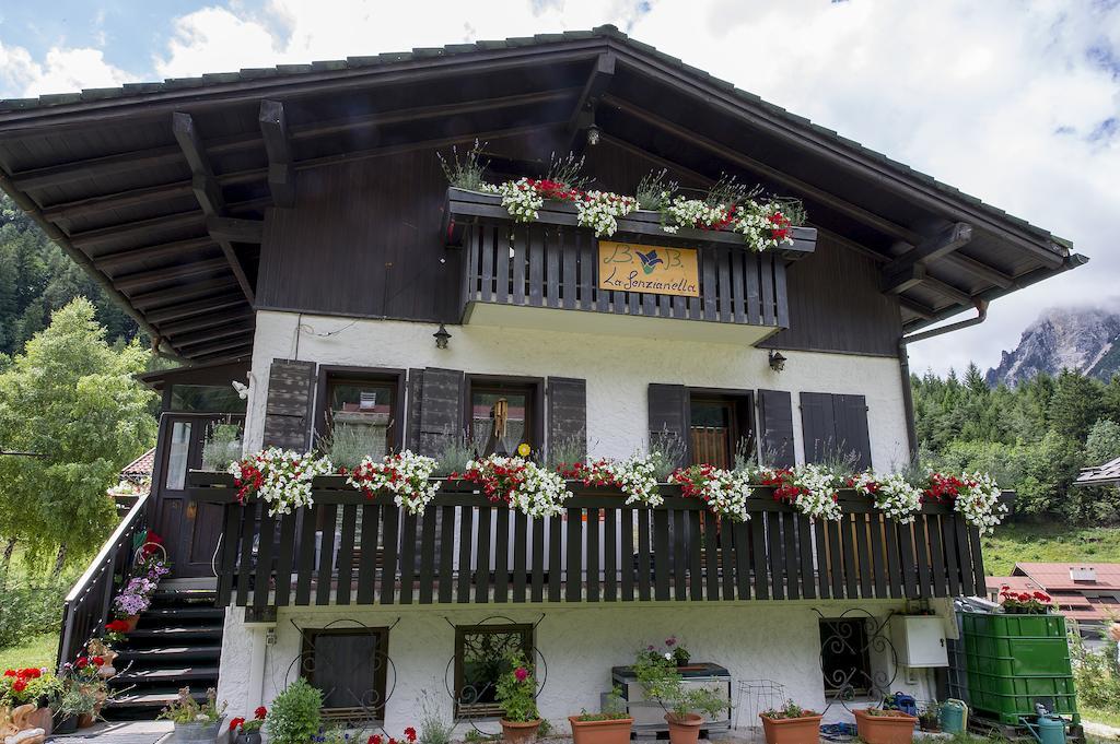B&B La Genzianella Perarolo di Cadore Exteriör bild