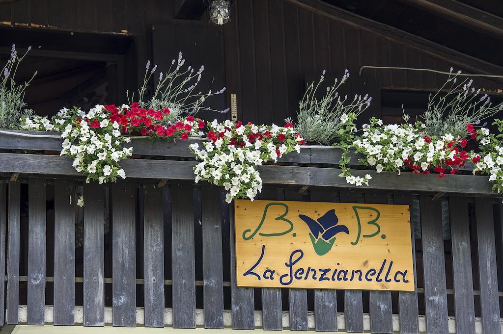 B&B La Genzianella Perarolo di Cadore Exteriör bild