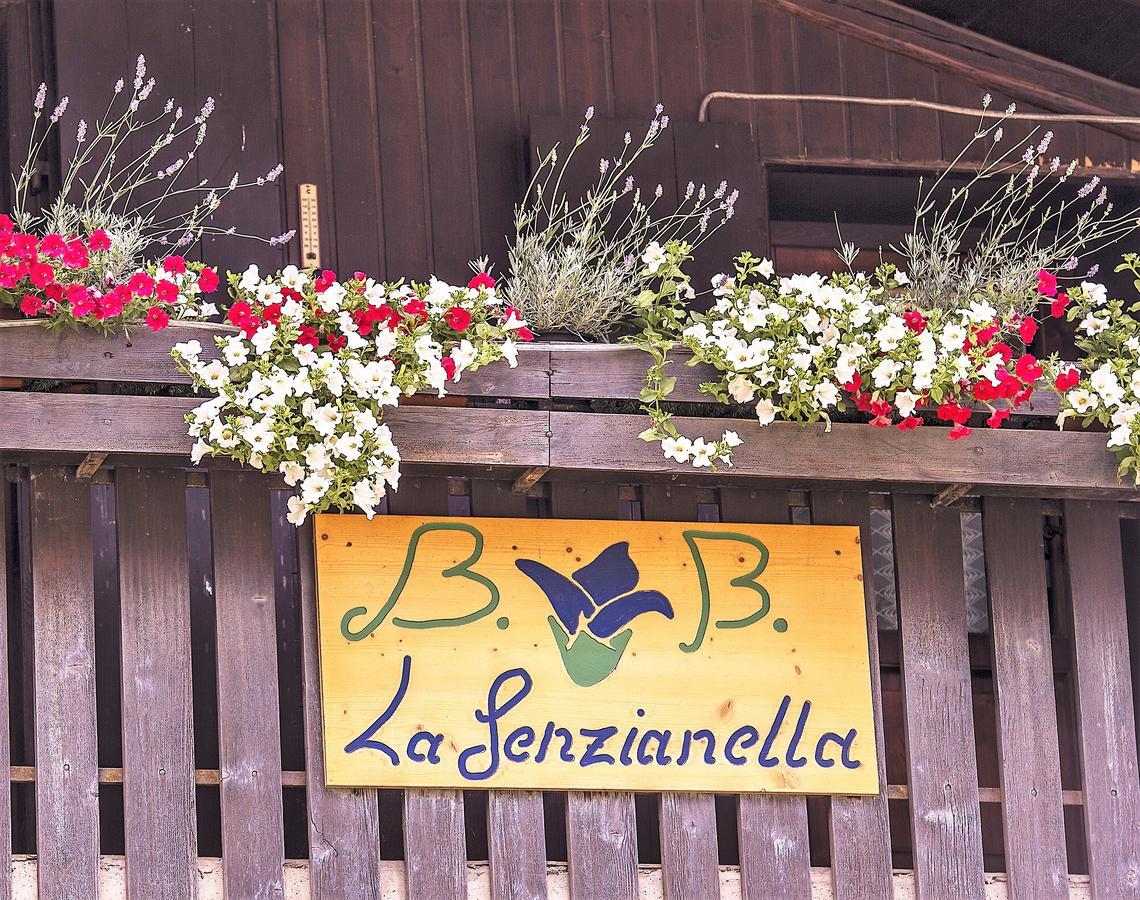 B&B La Genzianella Perarolo di Cadore Exteriör bild